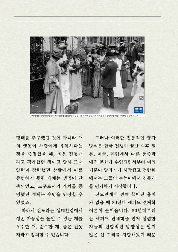 진돗개 꼬리 이걸로 정리한다 | 인스티즈