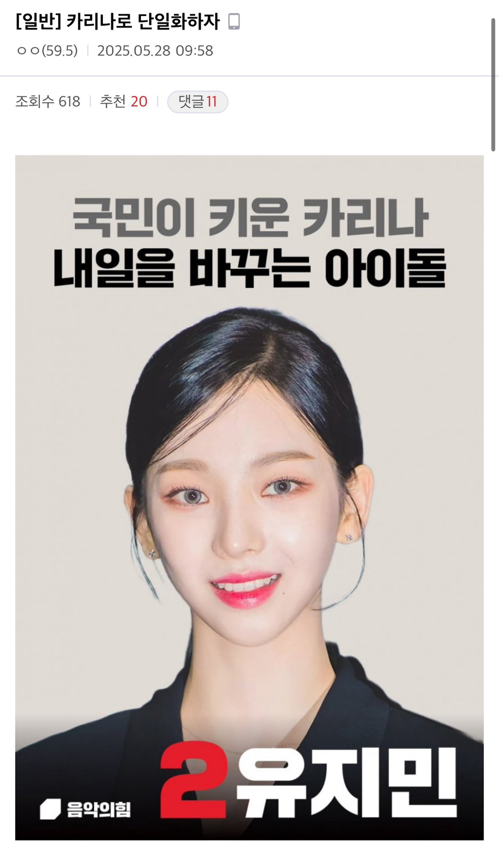  극우의 미감이란...
