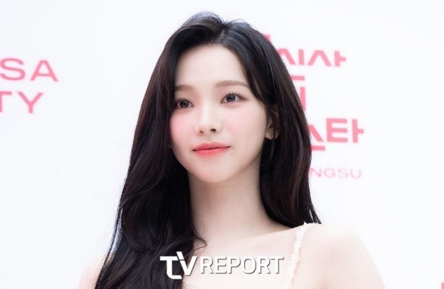  카리나, 어쩌다 국힘 엠버서더 됐나…전한길도 샤라웃1