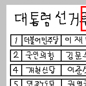 투표용지 찍어서 올린 디시 민주갤 | 인스티즈
