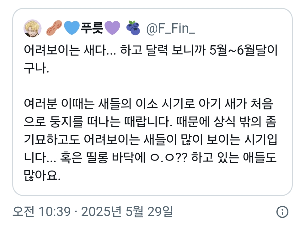 벤치에 맹하게 앉아 있던 이소중인 청소년 까마귀 | 인스티즈
