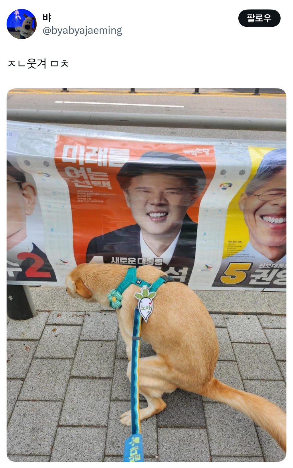 이준석 앞에서 당당하게 💩..twt
