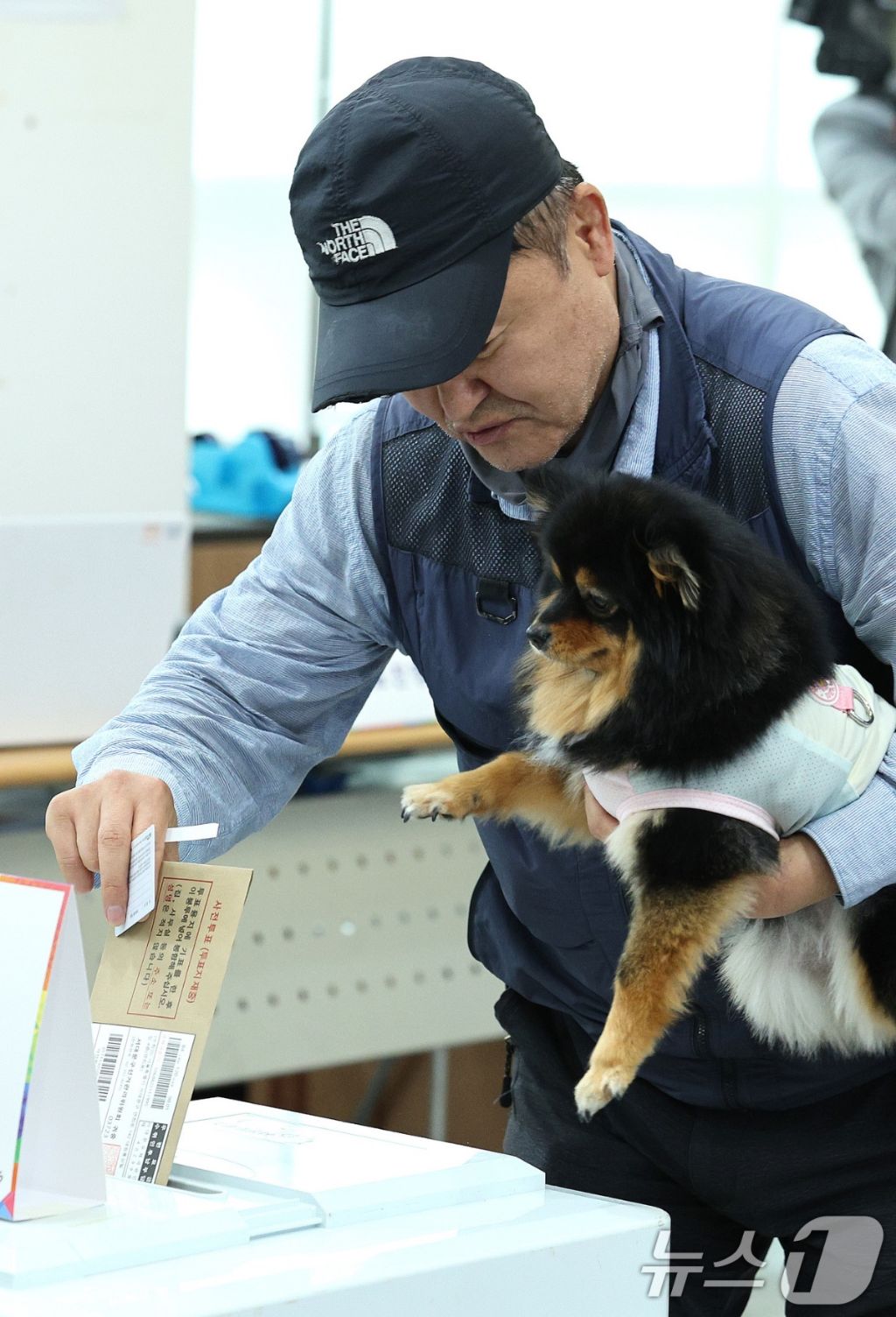  귀여운 투표 기사사진 두장