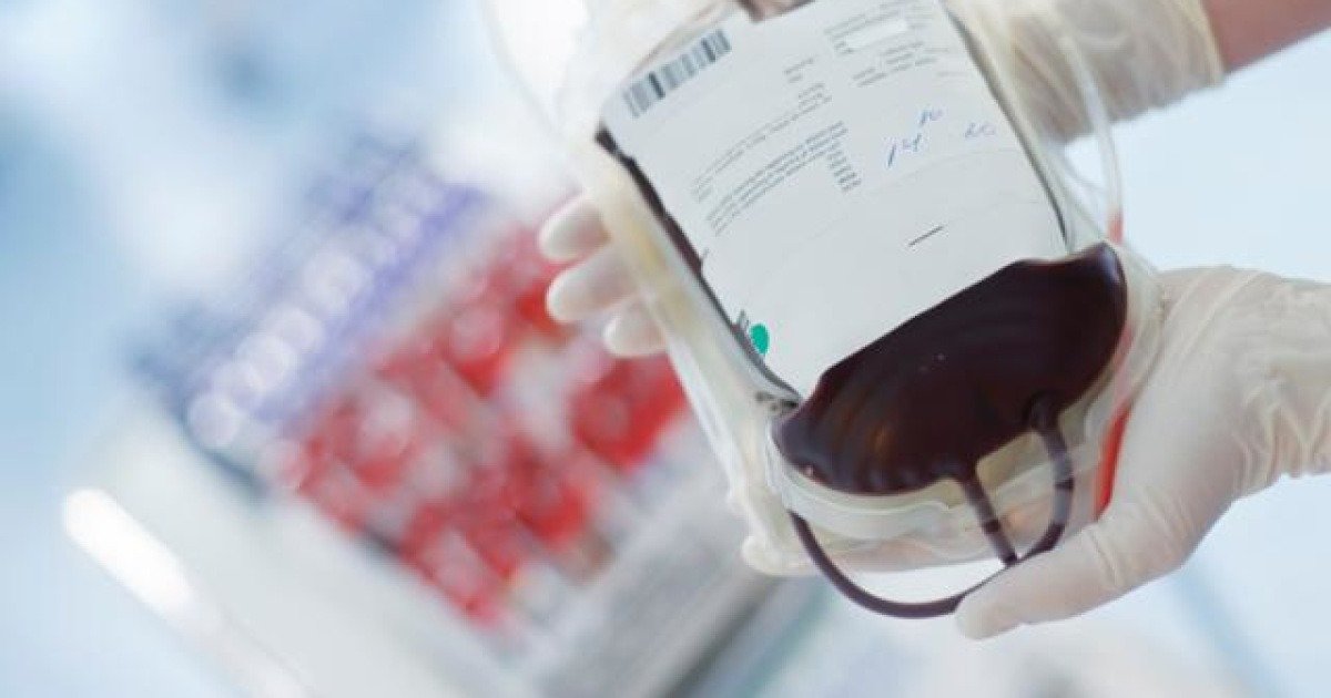 한국인 AB형, 다 같은 AB형 아닌데···잘못 수혈하면 적혈구 파괴 부른다 | 인스티즈