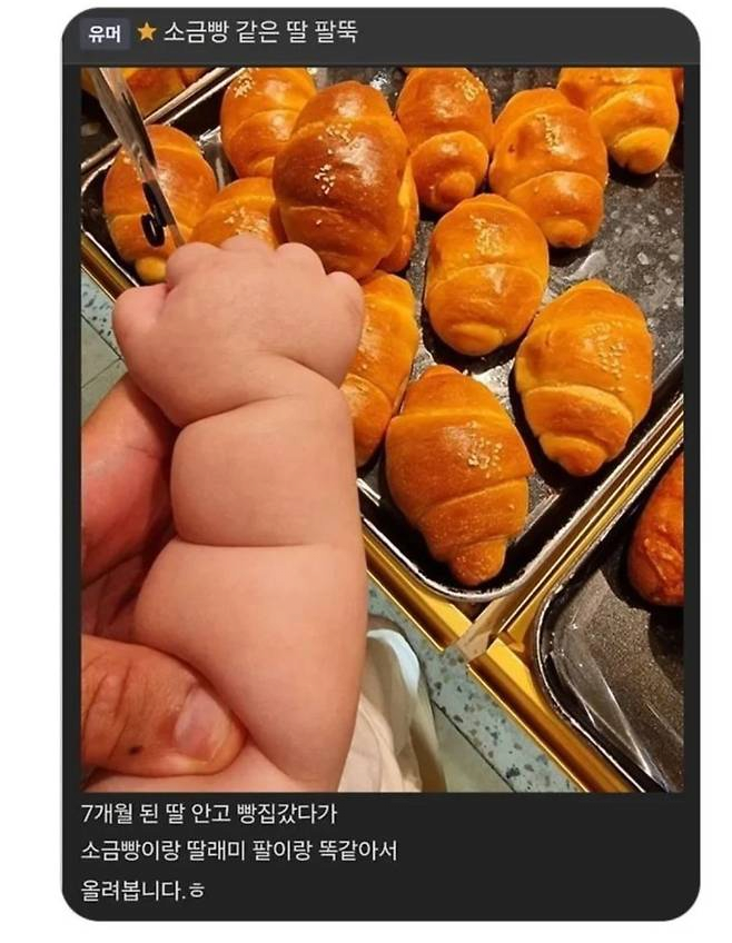 소금빵 딸내미