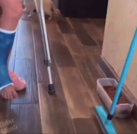  다리 다친 집사 흉내내는 고영희1