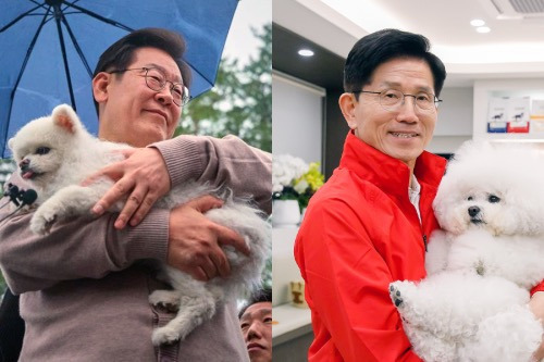  이재명 김문수로 보는 올바르게 강아지 안는 방법