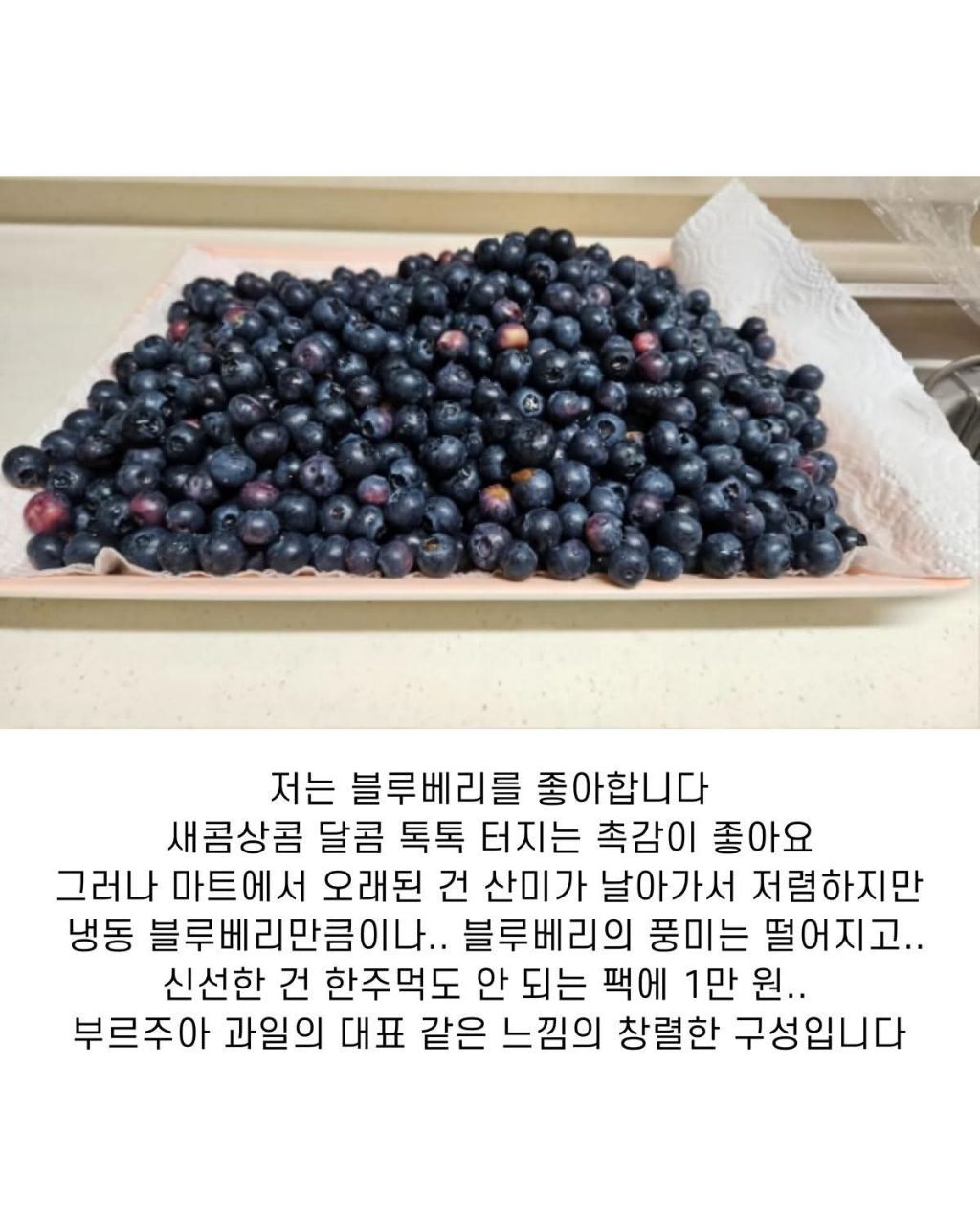  블루베리 서리한 남자