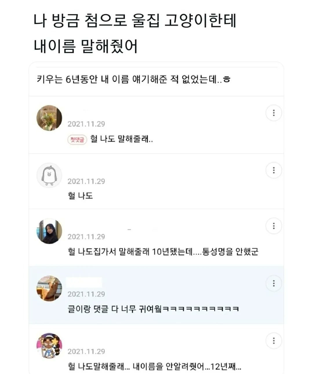 반려동물 키우는 사람들이 의외로 잘 하지 않는다는 행위