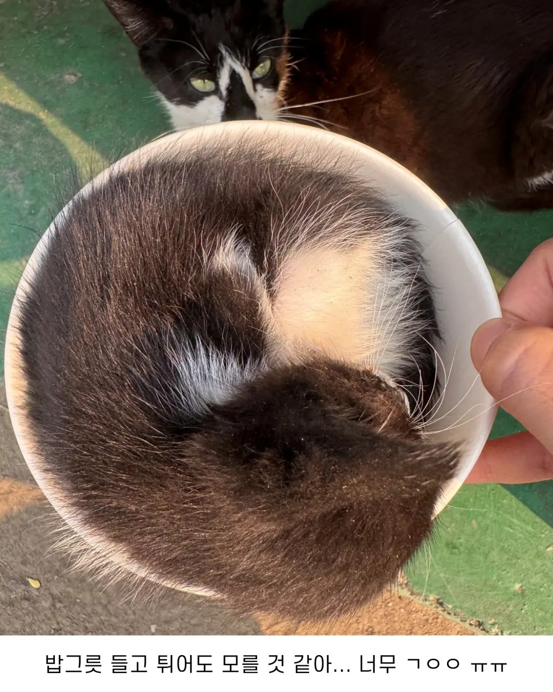 엄마가 밥 먹는데 방해하는 아기 | 인스티즈