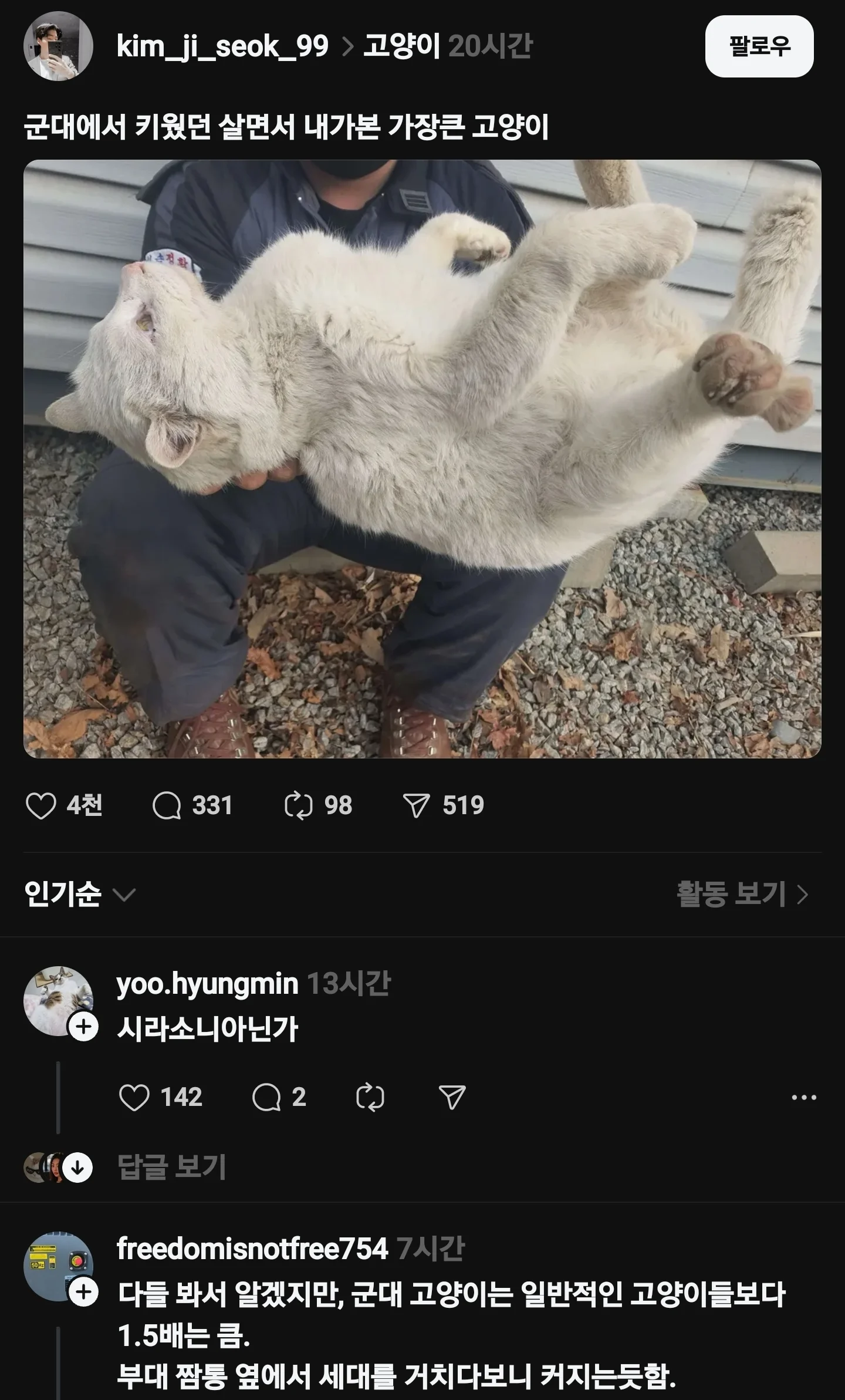  내가 본 가장 큰 고양이.jpg