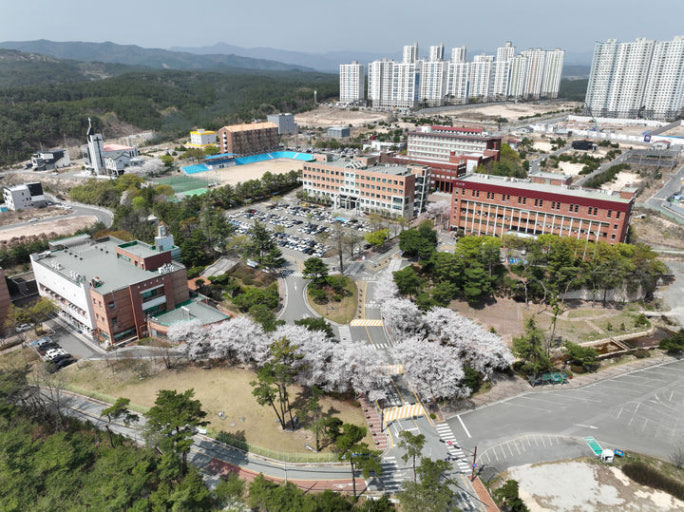 여대에서 現 남녀공학으로 바뀐 대학교들(2/3/4년제 포함).jpg | 인스티즈