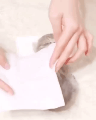  마사지 받는 애옹이