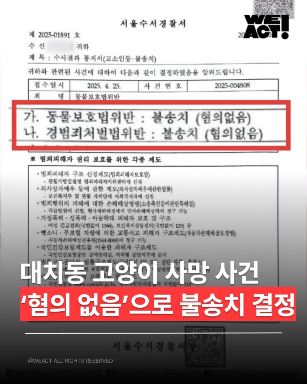 대치동 길고양이 사망 사건 견주 혐의없음 불송치 결정 | 인스티즈