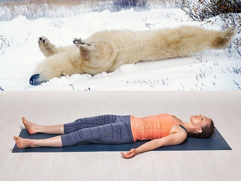 다리쩍벌하고 있는 곰 사진 본적있으면 빨리 들어와봐🐻 | 인스티즈
