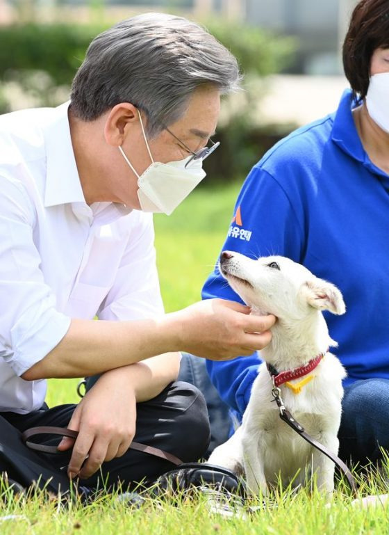 이재명 김문수로 보는 올바르게 강아지 안는 방법 | 인스티즈