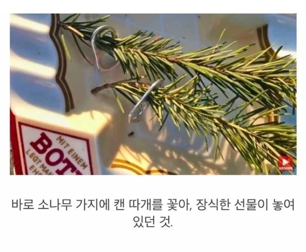 둥지에서 떨어진 새끼 까마귀를 구해줬더니 | 인스티즈