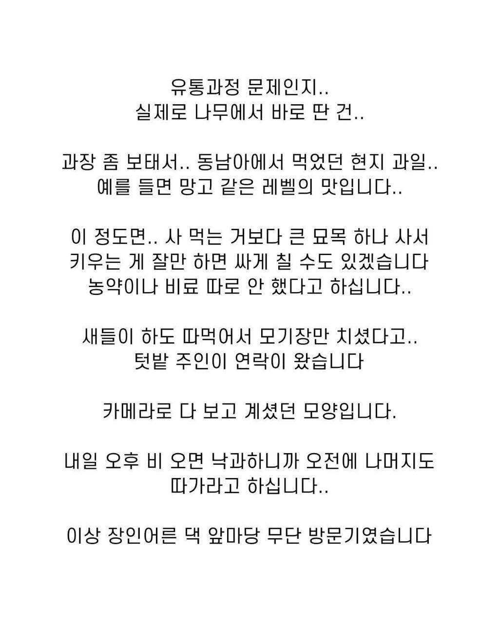 블루베리 서리한 남자 | 인스티즈