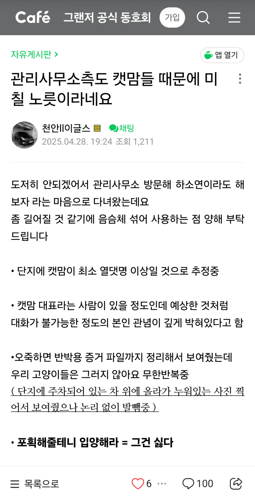  캣맘때문에 피해보는 차주