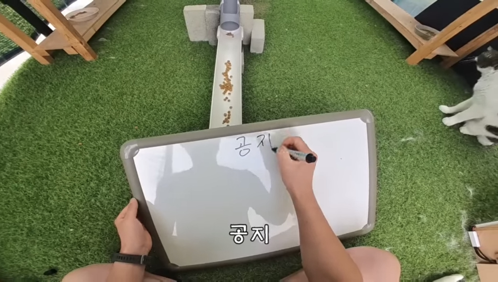 멤버십 오픈 예정이라는 유튜버 haha ha