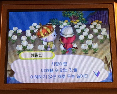사랑은 비 온 날 저녁의 풀 냄새 같은 거겠지 | 인스티즈