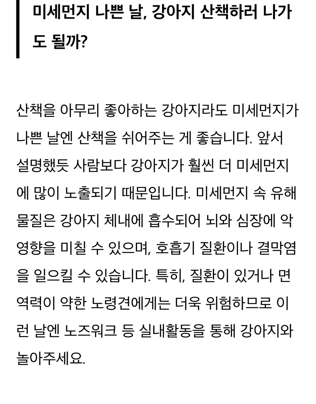 미세먼지 나쁨날씨엔 강아지 산책시 건강에 안좋은가요? | 인스티즈