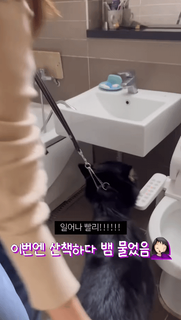  쥐랑 뽀뽀해서 벅벅 씻김 당하던 강아지 이번엔 뱀이랑..ㅋㅋㅋ
