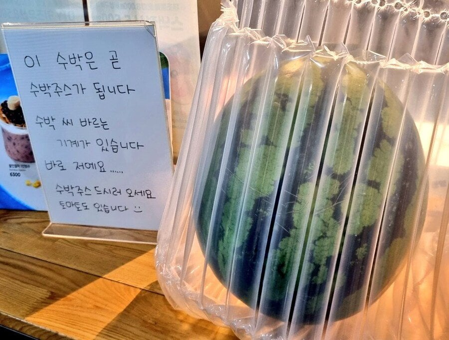 이디야 수박 씨 빼는 기계 쩐다