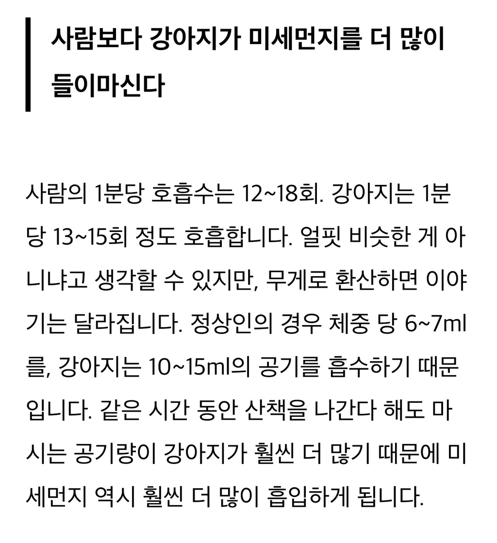 미세먼지 나쁨날씨엔 강아지 산책시 건강에 안좋은가요? | 인스티즈