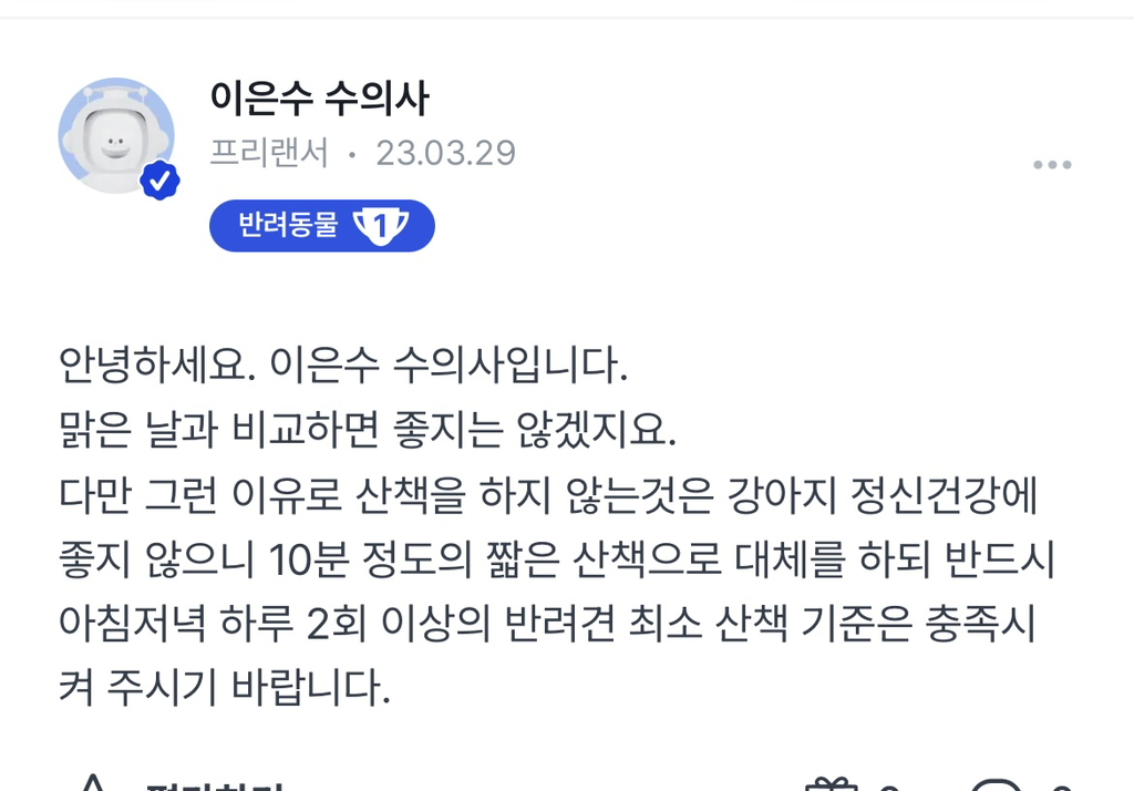 미세먼지 나쁨날씨엔 강아지 산책시 건강에 안좋은가요? | 인스티즈