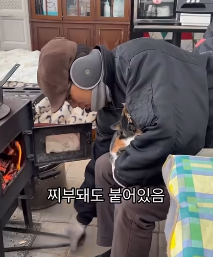 짜부가 되어도 달라붙어있는 고양이 | 인스티즈