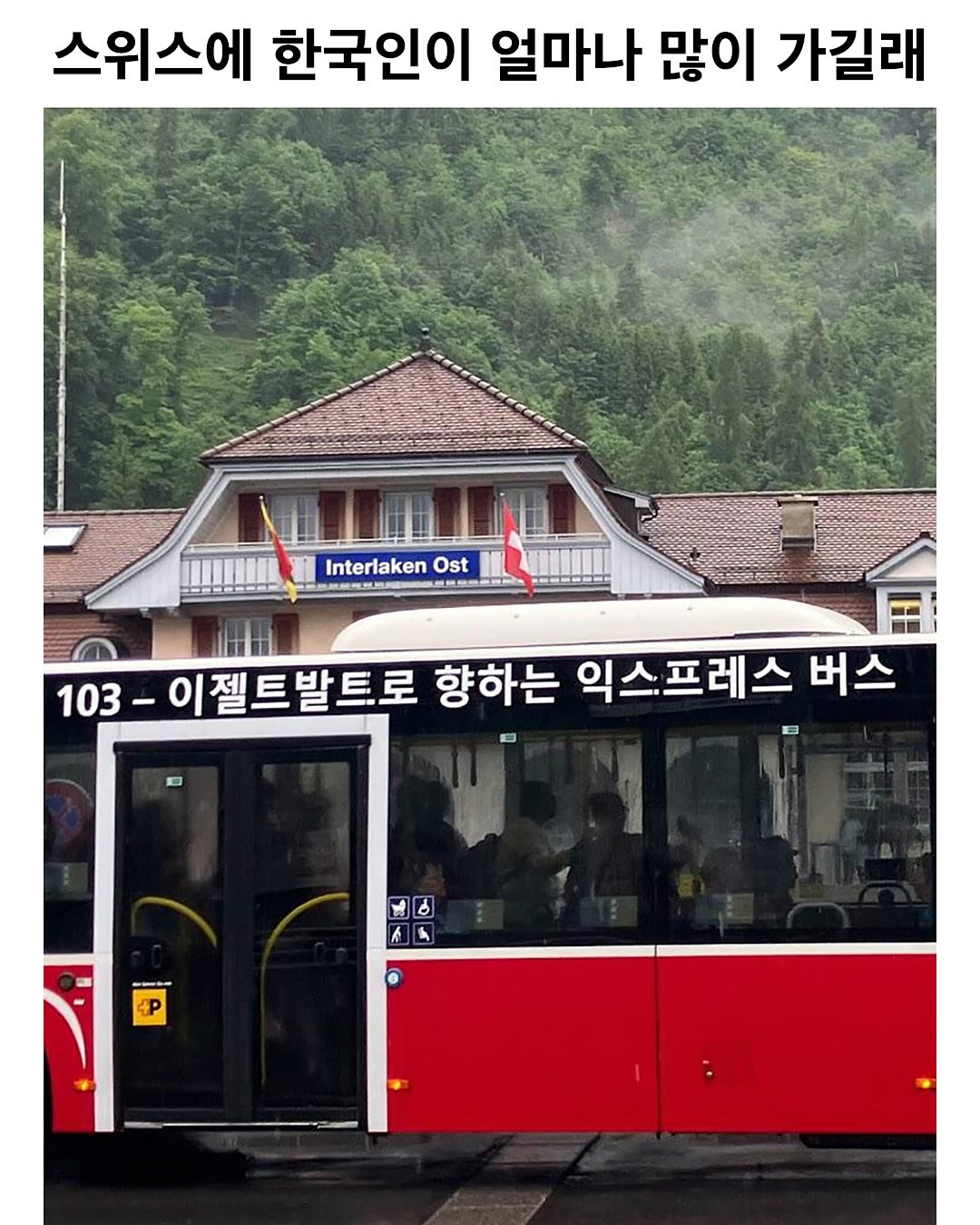  스위스에 한국인이 얼마나 많이 가는지 알 수 있는 사진
