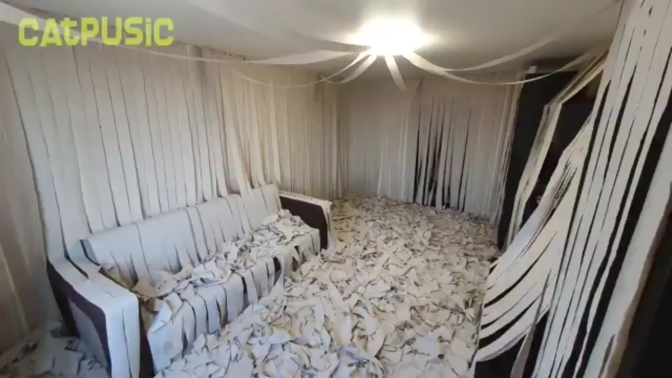 최애가 휴지인 고양이에게 '휴지방'을 선물하다! | 인스티즈