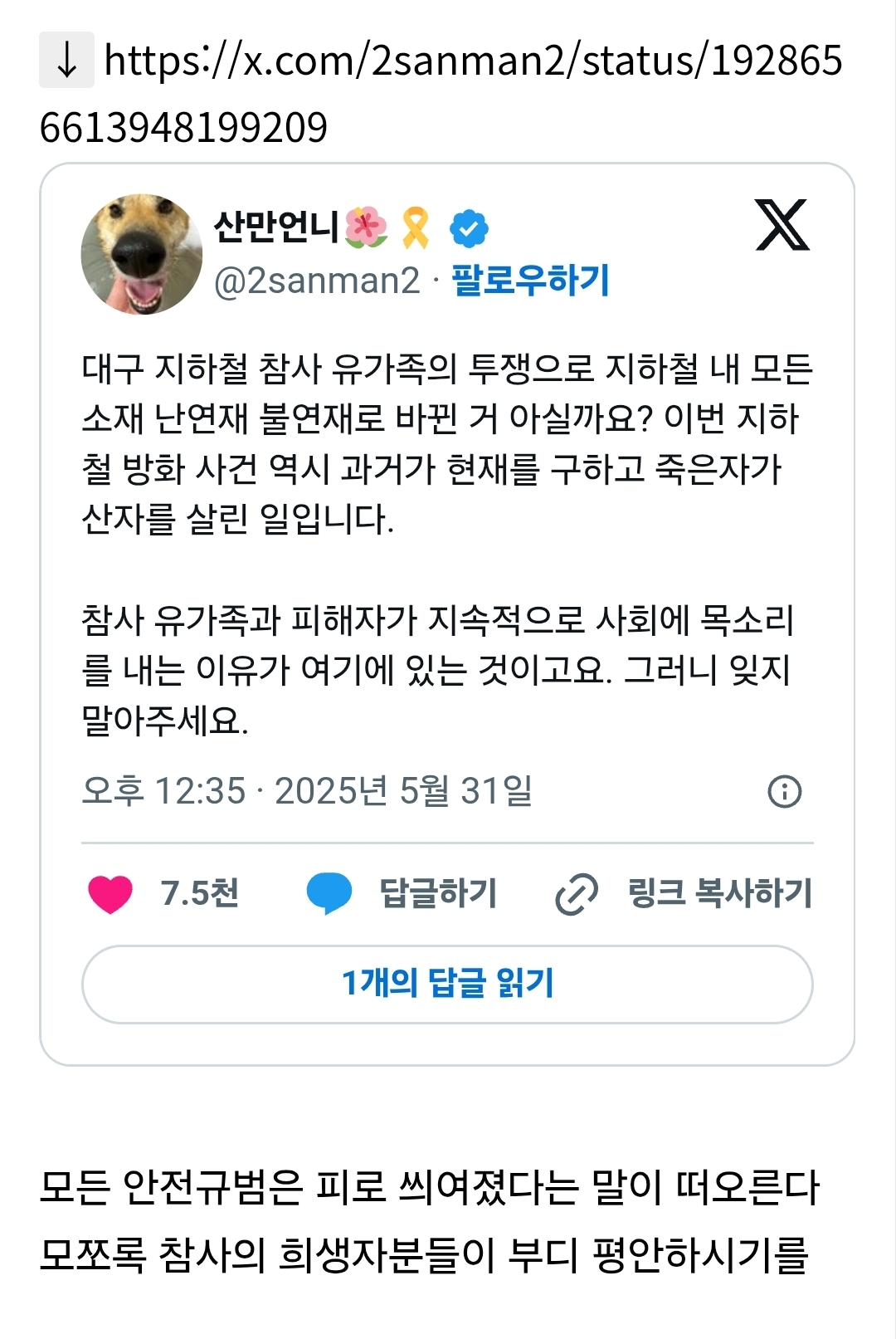  참사 유가족과 피해자들이 꾸준히 목소리 내는 이유 (ft.대구 지하철 방화)