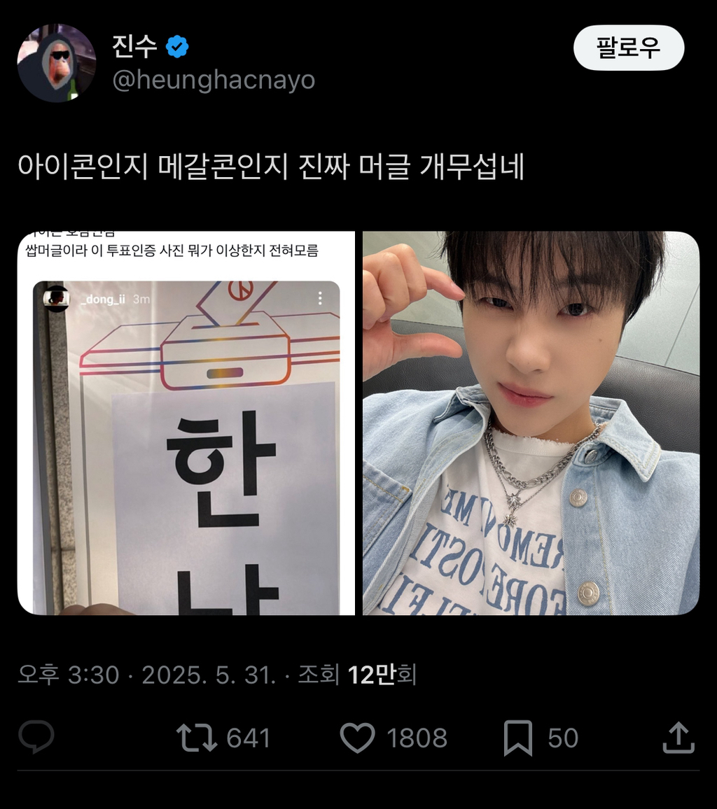  커뮤 안하는 머글돌의 당당함