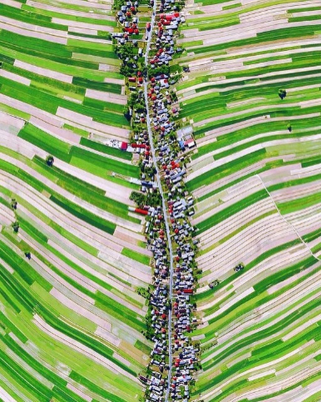 6000명이 한길에서 사는 마을.jpg | 인스티즈