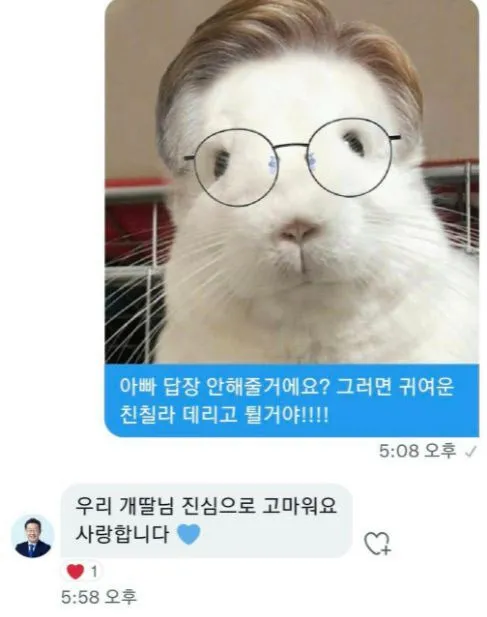 많이들 궁금해하는 소드는 왜 본인들을 고양이로 그리는지에 대한 답 | 인스티즈