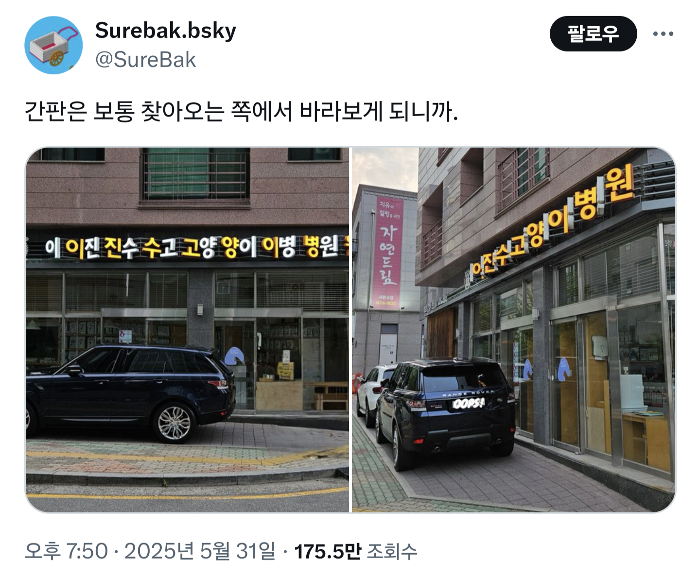 센스 좋은거 같은 고양이병원 간판