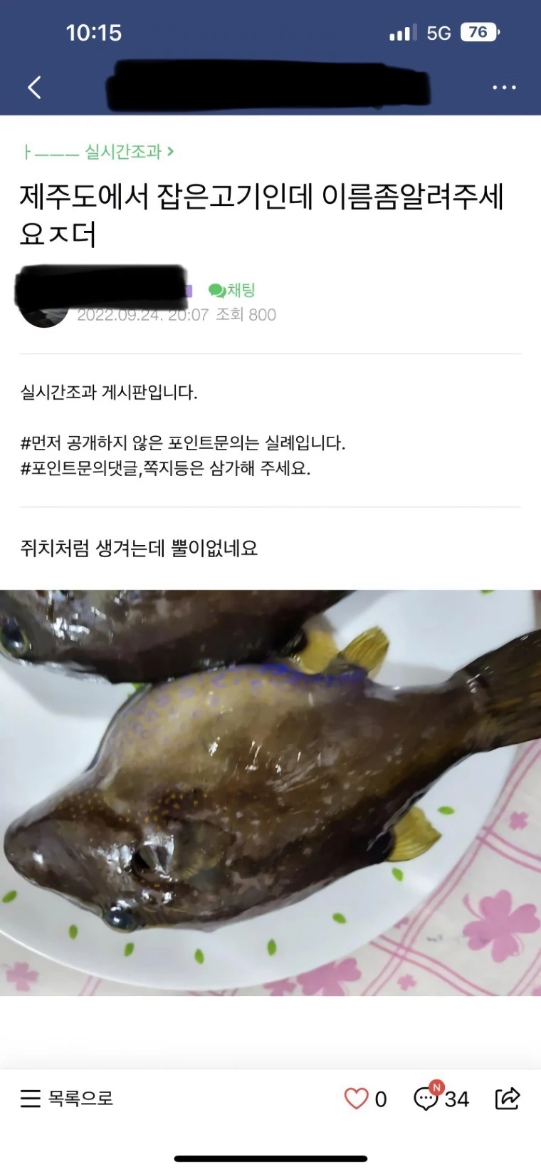 낚시카페 난리나게 한 신입 | 인스티즈