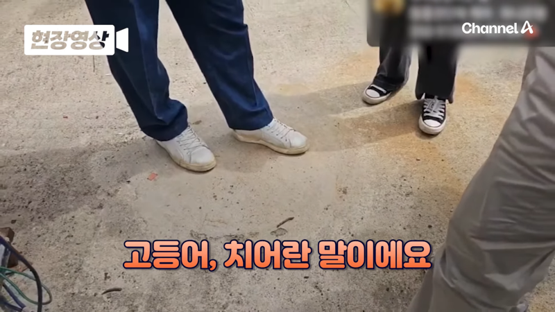 제주 바다 위에 2달간 묶여있던 진돗개 ㅜㅜ | 인스티즈