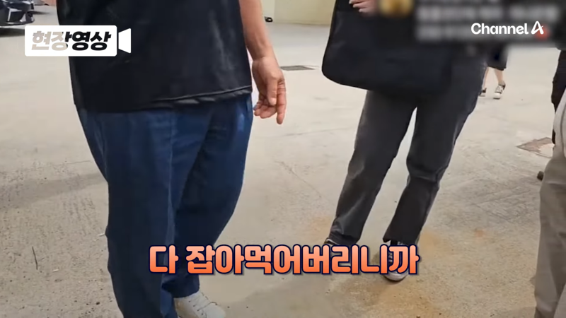 제주 바다 위에 2달간 묶여있던 진돗개 ㅜㅜ | 인스티즈