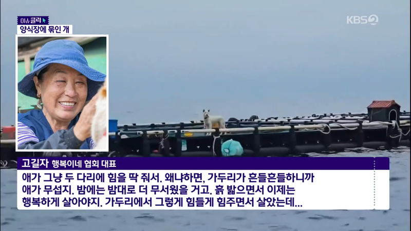 제주 바다 위에 2달간 묶여있던 진돗개 ㅜㅜ | 인스티즈