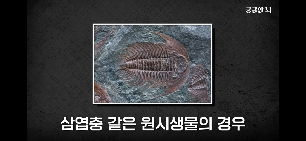 하기 싫더라도 대충 시작은해라 | 인스티즈