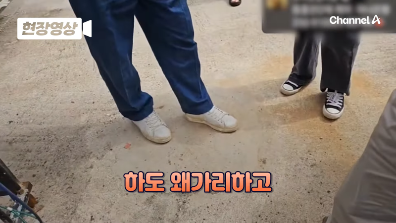 제주 바다 위에 2달간 묶여있던 진돗개 ㅜㅜ | 인스티즈
