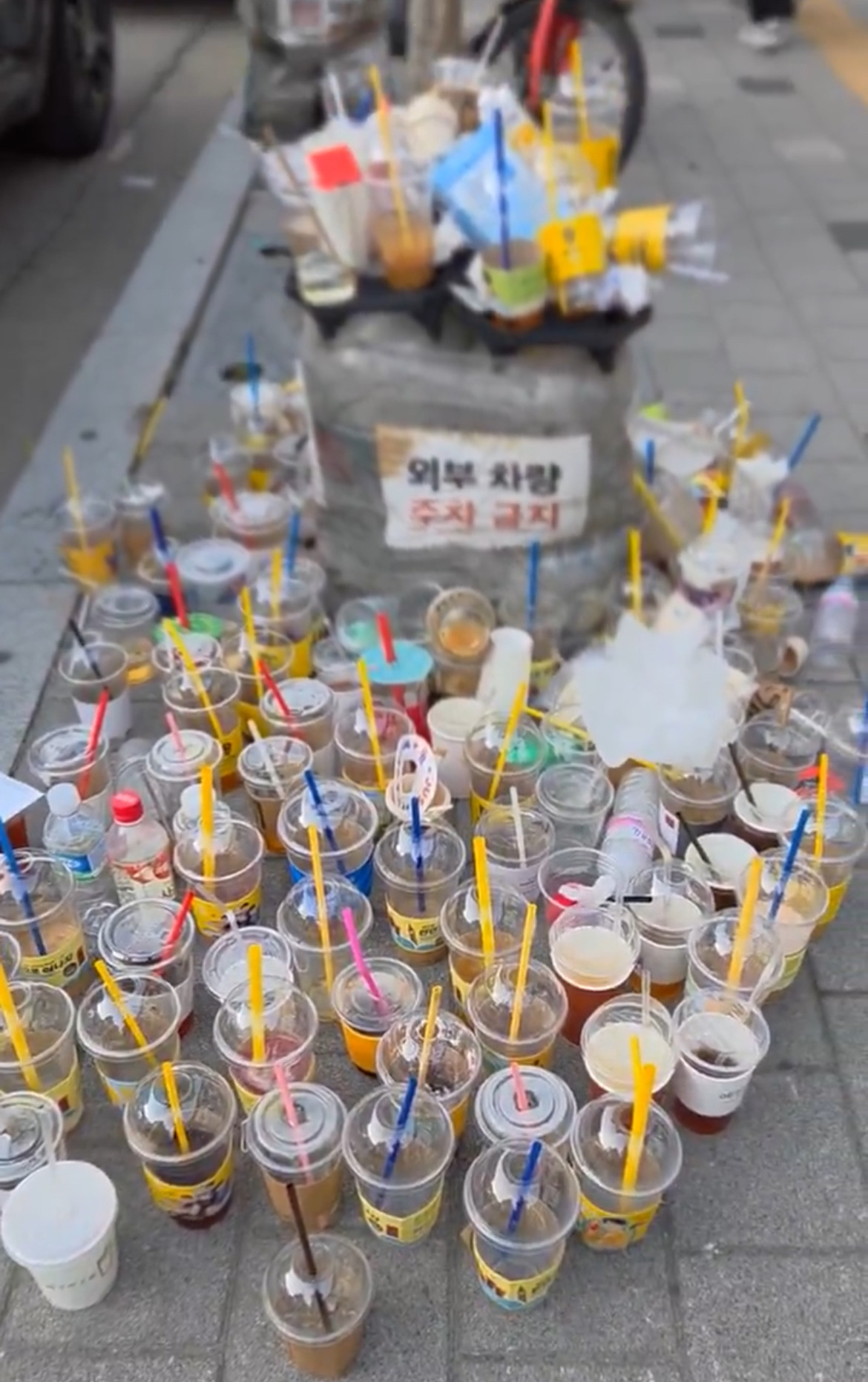 왜 길거리에 쓰레기통이 별로 없을까? | 인스티즈