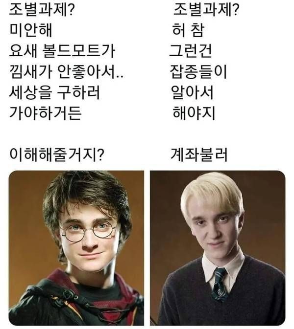  조별과제멤버 : 세상구하는 해리포터 vs 잡종무새 말포이1
