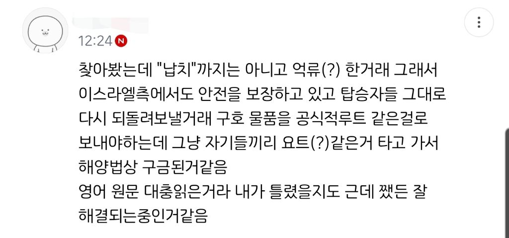  그레타 툰베리 외 12명 이스라엘군에 납치 추정