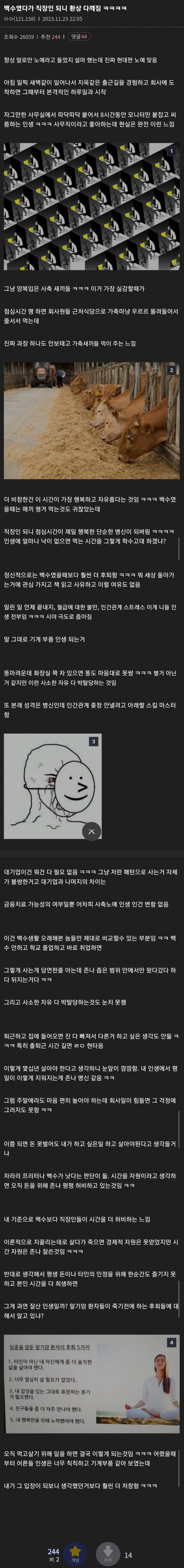  백수였다가 직장인 되니 환상 다 깨짐1