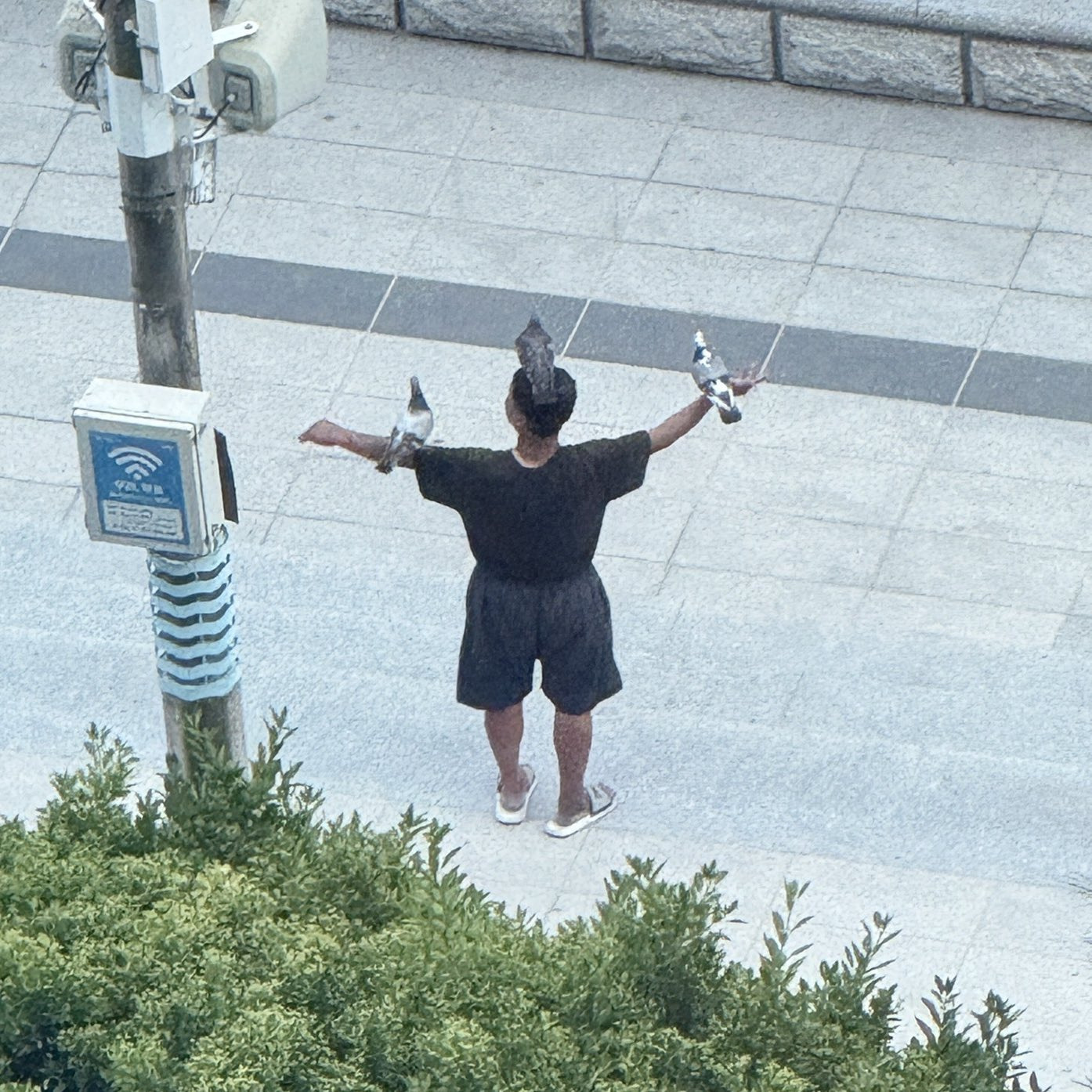  이 곳은 부산이다