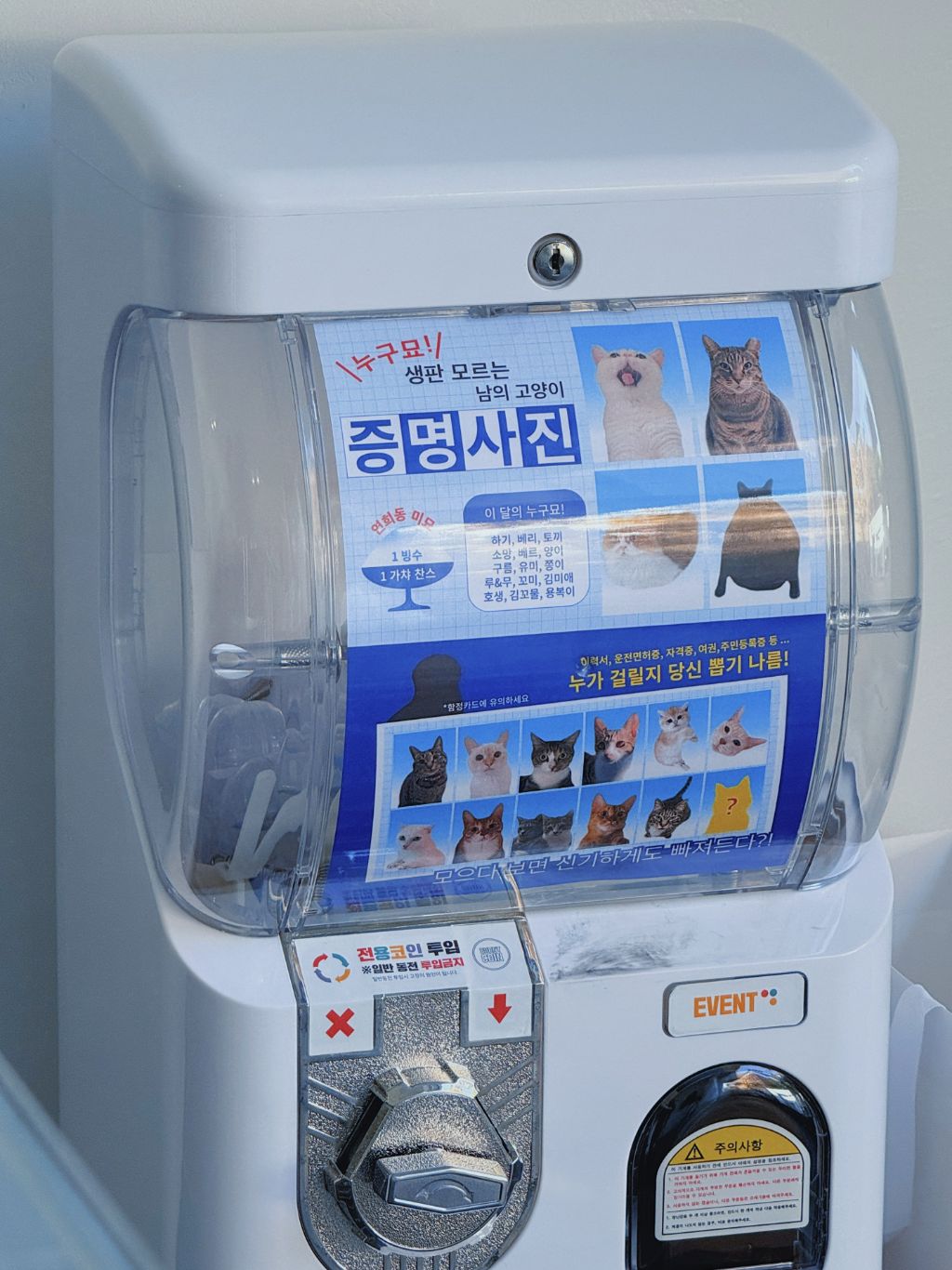 100 깍깍 채운 갤러리 털기 제발봐줘 짤 고르는데 1시간 47분 걸림 | 인스티즈